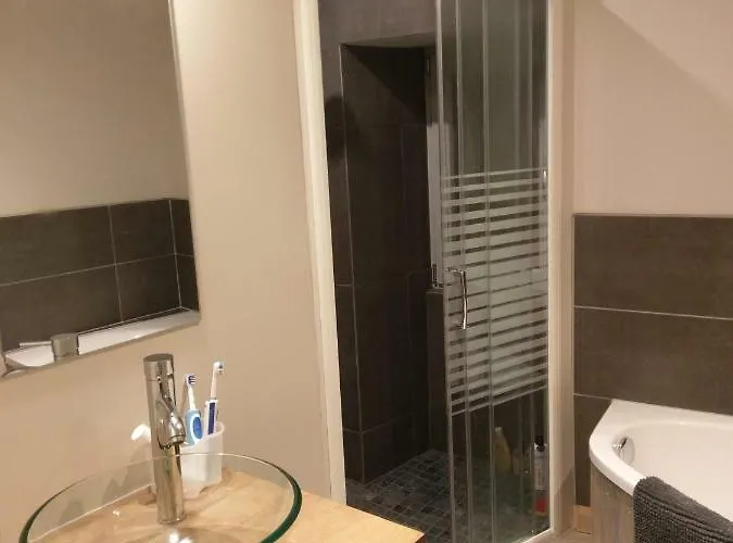 Résidence Du Parc Avec Sauna * Eaux-Bonnes